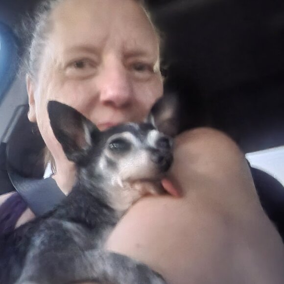 The Pepe' Animal Foundation !!!! 8/21 - Picture 11 of 16